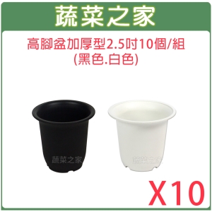 【蔬菜之家005-D15-1】高腳盆加厚型2.5吋10個/組(黑色.白色共2色可選)