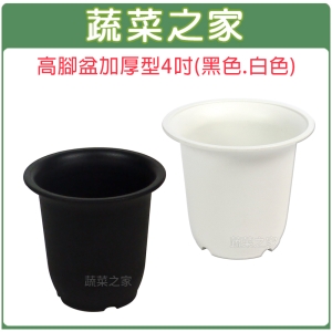 【蔬菜之家005-D17】高腳盆加厚型4吋(黑色.白色共2色可選)