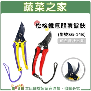 【蔬菜之家009-A95】松格鐵氟龍剪定鋏(剪錠鋏)型號SG-14B (顏色隨機出貨)