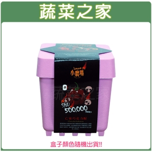 【蔬菜之家004-D20】iPlant小農場系列-亡靈巧克力椒