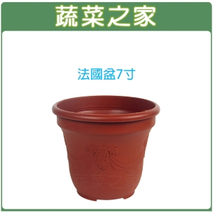 【蔬菜之家005-D120】法國盆7寸