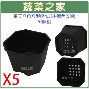 【蔬菜之家005-D132-BL5】景天八角方型盆4.5吋-黑色(5號)5個/組