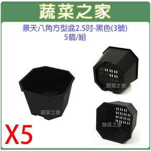 【蔬菜之家005-D116-BL5】景天八角方型盆2.5吋-黑色(3號)5個/組