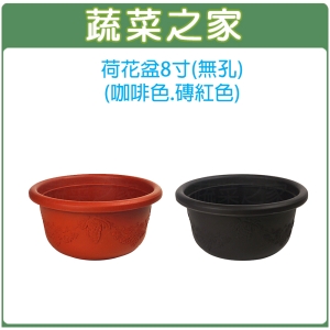 【蔬菜之家005-D122】荷花盆8寸(無孔)-咖啡色.磚紅色