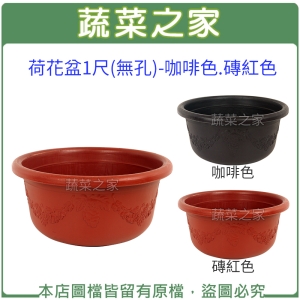 【蔬菜之家005-D123】荷花盆1尺(無孔)-咖啡色.磚紅色