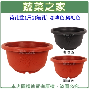 【蔬菜之家005-D124】荷花盆1尺2(無孔)-咖啡色.磚紅色