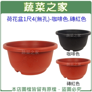 【蔬菜之家005-D125】荷花盆1尺4(無孔)-咖啡色.磚紅色