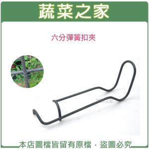 【蔬菜之家007-C40】六分彈簧扣夾(台灣製熱鍍鋅彈簧夾.錏管固定夾)