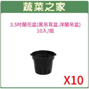 【蔬菜之家005-D135-10】3.5吋蘭花盆(黑吊耳盆.洋蘭盆)10入/組