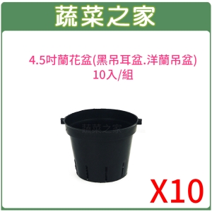 【蔬菜之家005-D137-10】4.5吋蘭花盆(黑吊耳盆.洋蘭吊盆)10入/組