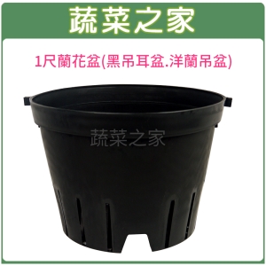 【蔬菜之家005-D144】1尺蘭花盆(黑吊耳盆.洋蘭吊盆)