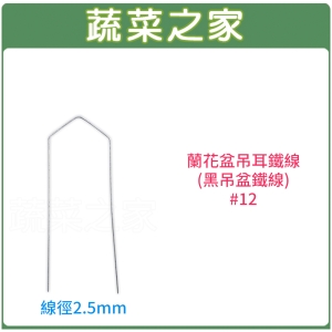 【蔬菜之家005-D147】蘭花盆吊耳鐵線(黑吊盆鐵線)#12(3.5吋~5吋蘭花盆適用)