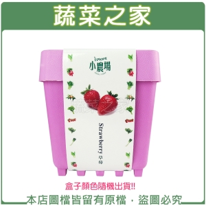 【蔬菜之家004-D29】iPlant小農場系列-草莓