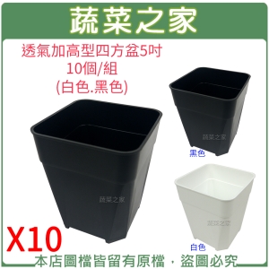 【蔬菜之家005-D151-1】透氣加高型四方盆5吋10個/組(黑色.白色共2色可選)