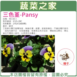 【蔬菜之家00H46】大包裝.三色堇種子2克(約1600顆)