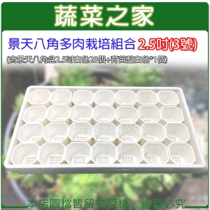 【蔬菜之家005-D116-1-2】景天八角多肉栽培組合2.5吋(3號)(含景天八角盆2.5吋白色28個＋育苗盤白色*1個)