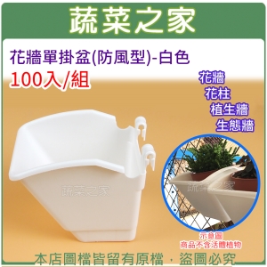 【蔬菜之家005-B09-100】花牆單掛盆(防風型)-白色 100入/組