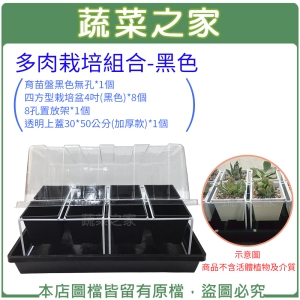 【蔬菜之家005-D19-BL】多肉栽培組合-黑色 (含育苗盤黑色無孔*1個.四方型栽培盆4吋(黑色)*8個.8孔置放架*1個.透明上蓋30*50公分(加厚款)*1個)