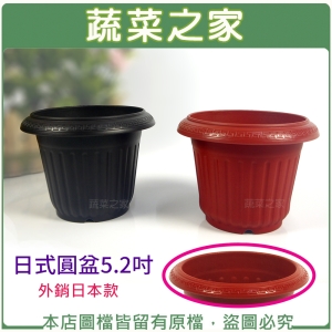 【蔬菜之家005-F21】日式圓盆5.2吋(外銷日本款) 紅色/鐵砂兩色可選