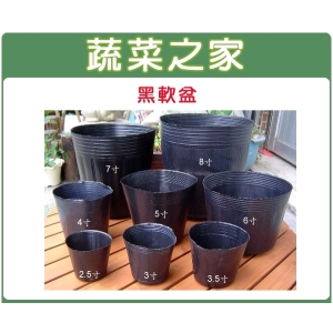 7吋黑軟盆50個/組