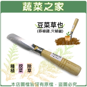 【蔬菜之家009-B52】豆菜草也(移植鏝.穴植鏟)