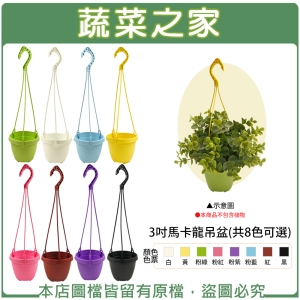 3吋馬卡龍吊盆-(吊盆加吊勾/組)(共8色可選)