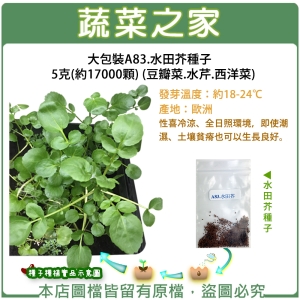 大包裝A83.水田芥種子5克(約17000顆) (豆瓣菜.水芹.西洋菜)