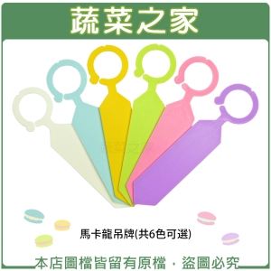馬卡龍吊牌(共6色可選) 掛牌.植物名牌.花牌.樹牌