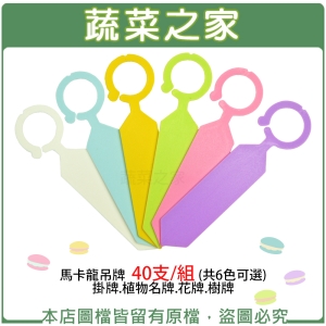 馬卡龍吊牌 40支/組 (共6色可選) 掛牌.植物名牌.花牌.樹牌