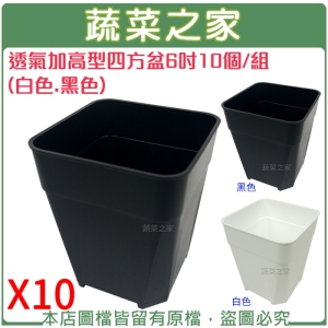 透氣加高型四方盆6吋10個/組(黑色.白色共2色可選)