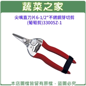 尖嘴直刀片6-1/2
