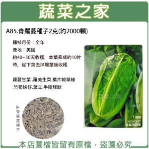 A85.青羅蔓種子(青羅美生菜)2克(約2000顆)