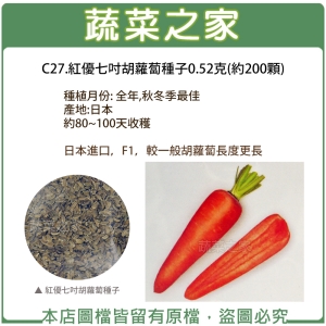 C27.紅優七吋胡蘿蔔種子0.52克(約200顆)