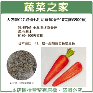 大包裝C27.紅優七吋胡蘿蔔種子10克(約3900顆)