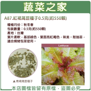 A87.紅裙萵苣種子0.5克(約550顆)