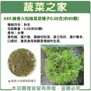 A89.綠香火焰綠萵苣種子0.08克(約80顆)