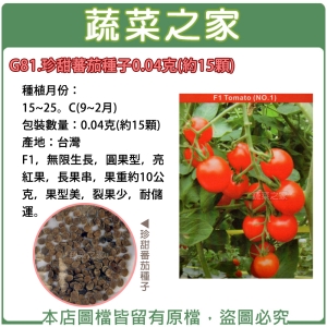 G81.珍甜蕃茄種子0.04克(約15顆)