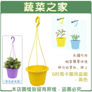6吋馬卡龍吊盆組 - 黃色