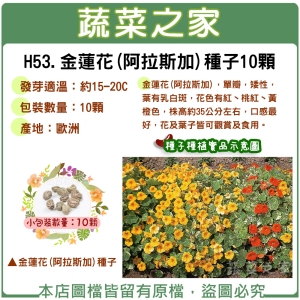 H53.金蓮花(阿拉斯加)種子10顆