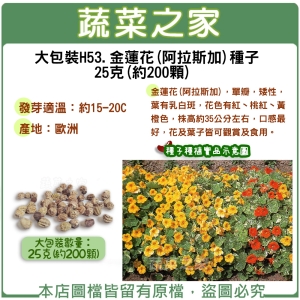 大包裝H53.金蓮花(阿拉斯加)種子25克(約200顆)