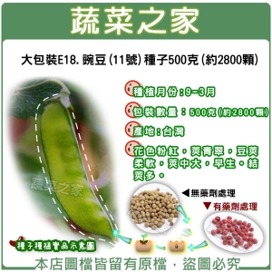 大包裝00E18.豌豆(11號)種子500克(約2800顆)