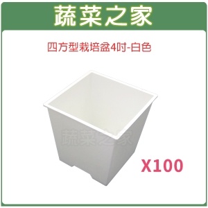 蔬菜之家005-D111-WI-1】四方型栽培盆4吋-白色(厚)100個/組