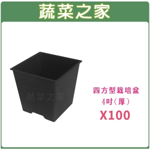 四方型栽培盆4吋-黑色(厚) 100個/組