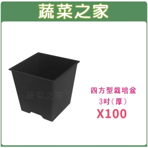 四方型栽培盆3吋-黑色(厚) 100個/組