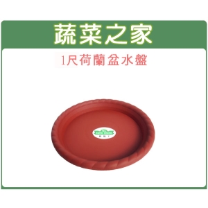 【蔬菜之家015-F19】1尺荷蘭盆專用水盤(硬質波紋)