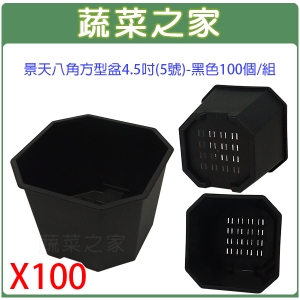景天八角方型盆4.5吋(5號)-黑色100個/組