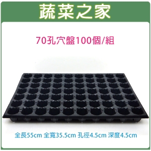 70孔穴盤100個/組(量販價)