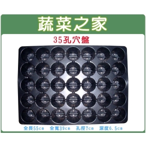 35孔穴盤100個/組(量販價)