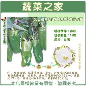 G56.長青綠甜椒(青椒)種子12顆