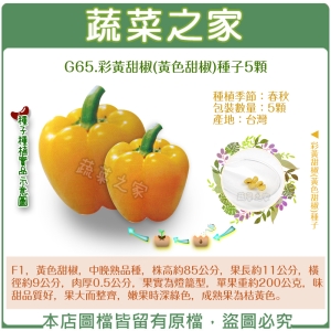 G65.彩黃甜椒(黃色甜椒)種子5顆